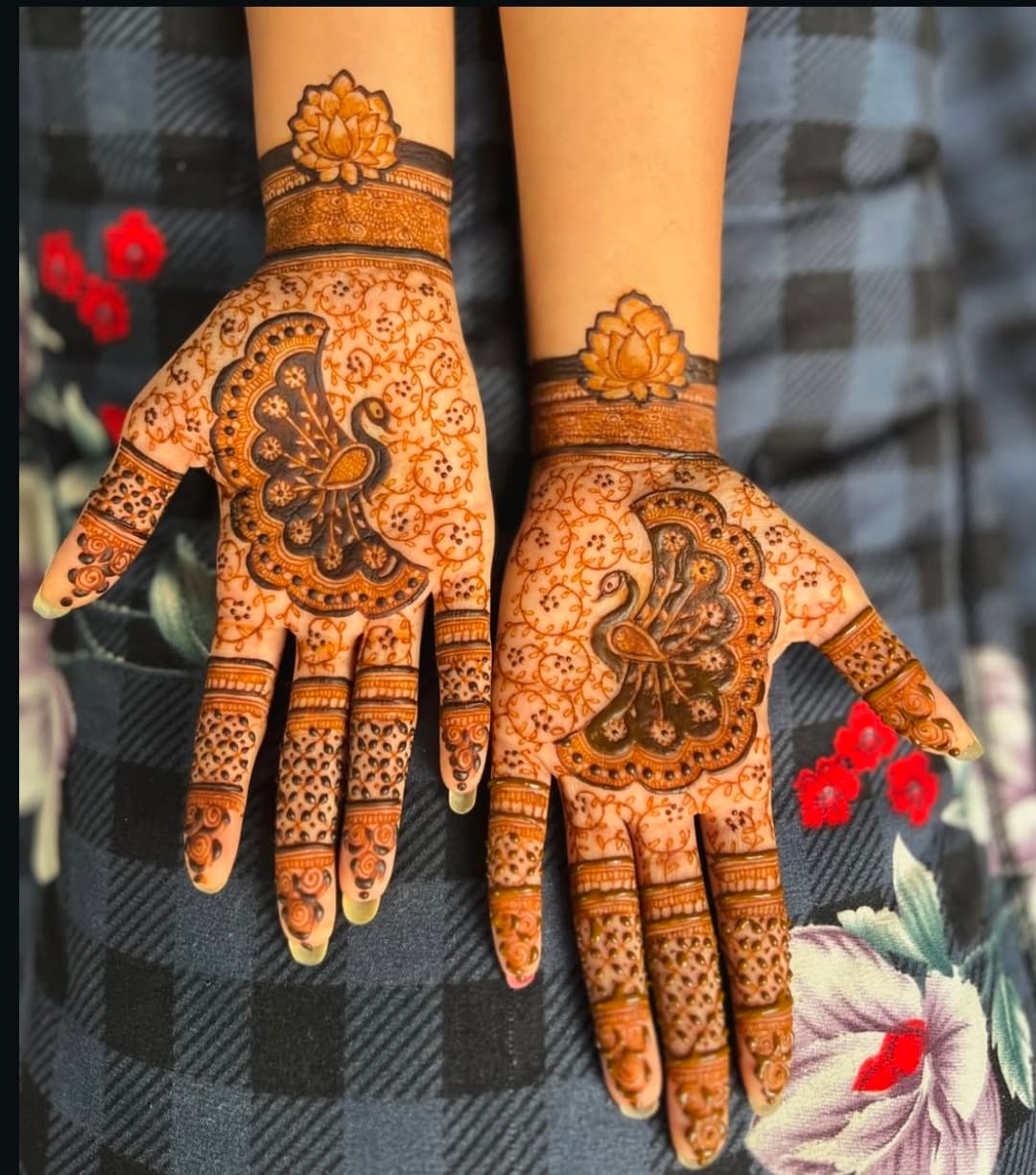 Wedding Family Mehndi